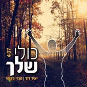 כולי שלך (Remix) artwork