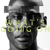 What's Going On (feat. Stephen Sims) - Single