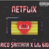 Netflix (feat. Lil 610) artwork