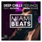 Feelings (Spada Remix) - Deep Chills & Natania lyrics