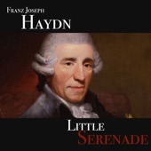 Franz Joseph Haydn - Little Serenade artwork