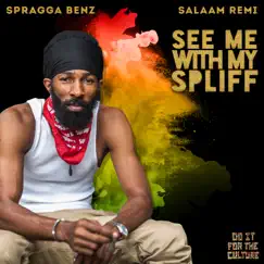 See Me With My Spliff (Single) by Salaam Remi & Spragga Benz album reviews, ratings, credits