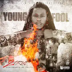 2true (Statement of Facts) by Young Fool album reviews, ratings, credits