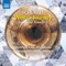 冬の旅 Op. 89, D. 911(M. ジーによるトロンボーンとピアノ編): 第14曲 霜おく頭 artwork