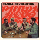 Panda Revolution (Radio Edit) artwork