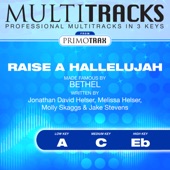 Raise a Hallelujah Made Famous By Bethel (Worship Multitracks) [Performance BackingTracks] artwork
