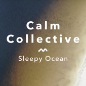 Sleepy Ocean artwork