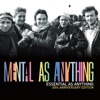 Essential as Anything (30th Anniversary Edition), 2009