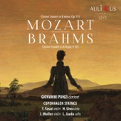 Mozart - Clarinet Quintet in A Major, K 581 - Brahms - Clarinet Quintet in B minor, Op. 115 artwork