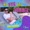 We Own the Summer - Single