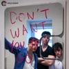 Don't Want You To Go - Single