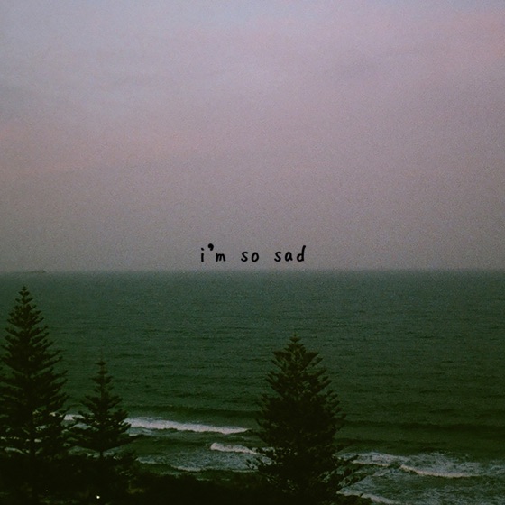 Cover artwork for i'm so sad