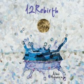 12 Rebirth artwork