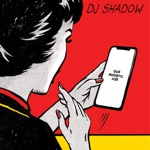 DJ Shadow - Beauty, Power, Motion, Life, Work, Chaos, Law