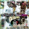 Trap Money Rap Money (feat. Diego Money) - Denim Buckeye Buc$ lyrics