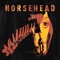 Fill Me - Horsehead lyrics