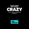 Crazy (feat. Thiwe) [The Charles Webster Remixes]