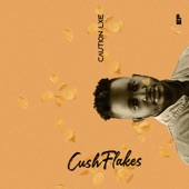 Cush Flakes - EP artwork