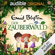 Enid Blyton & Barbara van den Speulhof - Der Zauberwald: Der Zauberwald 1