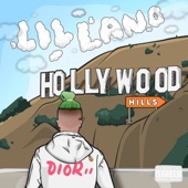 Hollywood Hills artwork