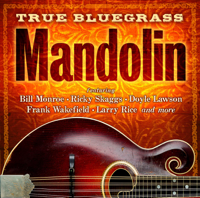 Various Artists - True Bluegrass Mandolin artwork