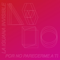 La Iguana Invisible Ablum Cover