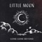 Little Moon artwork