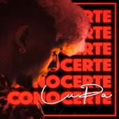 Conocerte artwork