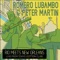 Broadmoor - Romero Lubambo & Peter Martin lyrics