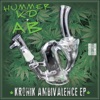 Kronik Ambivalence (EP)