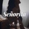 Señorita (Bachata Version) artwork