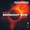 Midnight Sun - Nicky Romero & Florian Picasso lyrics