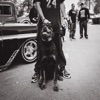 Get Dumb - Single
