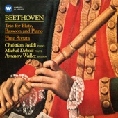 Beethoven: Trio for Flute, Bassoon and Piano, WoO 37 & Flute Sonata, Anh. 4 artwork
