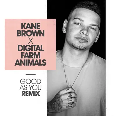 Good as You (Digital Farm Animals Remix) - Single - Digital Farm Animals
