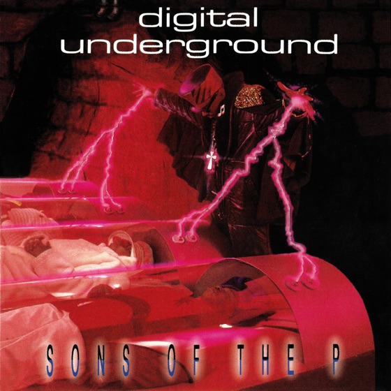 Cover artwork for Sons of the P