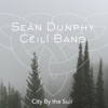 Seán Dunphy Céilí Band - Black and Tan Gun