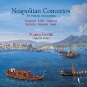 Recorder Concerto in F Major "Sonata decima quinta" (Arr. for Flute & Continuo): I. Andante artwork