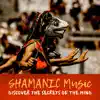 SHAMANIC Music: Discover the Secrets of the Mind - Spirituality of Nature, Meditation Journey, Native American Sounds album lyrics, reviews, download