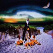The Acid Flashback at Nightmare Beach - Owen Wilson