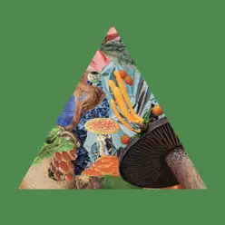 Poison the Well - Single - Modest Mouse