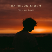 Harrison Storm - Falling Down - EP artwork