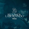 Seguimos Laborando - Single