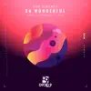 Stream & download Da Wonderful - Single