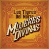 Los Tigres del Norte - Mujeres Divinas