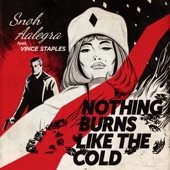 Nothing Burns Like the Cold (feat. Vince Staples) artwork