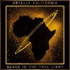 Black Is the True Light - Single