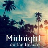 Midnight on the Beach artwork
