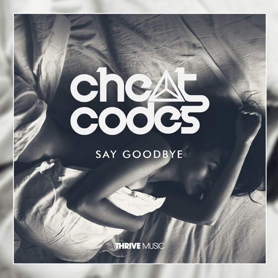 Cover artwork for Say Goodbye