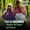 Llegaron Los Trapper (feat. Mandrake) - Pla La Sustancia lyrics
